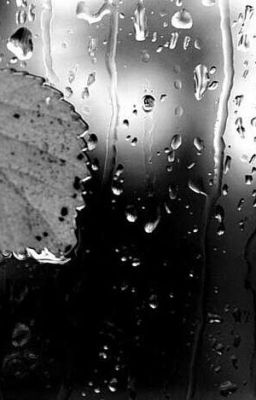 Почему Все Так? 