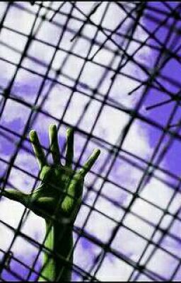 Сталкер.Свобода!