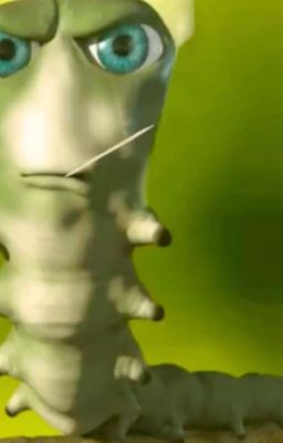 Фатуи Бывают Добрыми... 