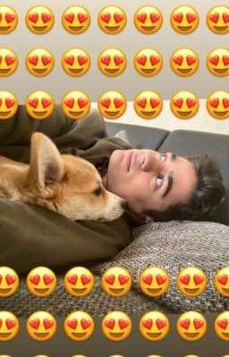 Димиль (Здесь меня держишь только ты) ~Скорректирован~