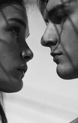 Стратегическая война стримерши и стратега