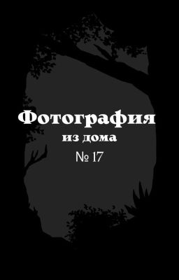 Фотография из дома №17