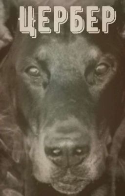 Цербер