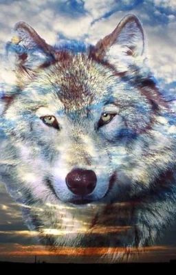 Альфа и она