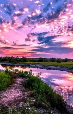 Приложение к фанфику "Таймлесс. Жизнь путешественников во времени"