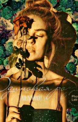 Одинокая роза