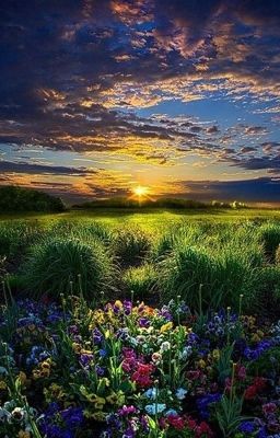 Таймлесс. Жизнь путешественников во времени.