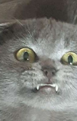 3 Не совсем Друга (ЗАКОНЧЕН)