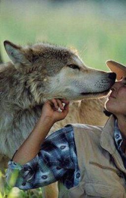 Жизнь с волками