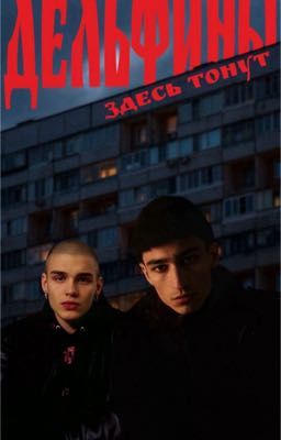 Дельфины здесь тонут