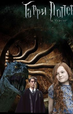 Поттер,Эванс и Тайная комната