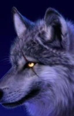 Волчья жизнь