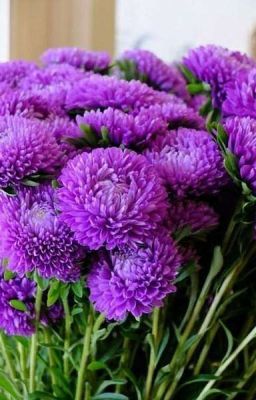 Ты и Егор шип 