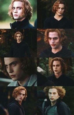 сердце больше не бьётся 🤍🖤