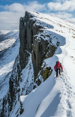 Что такое жизнь?