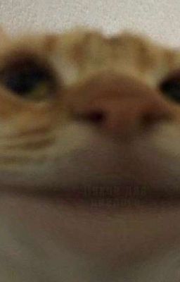 к р и п и-п и п с 🤏