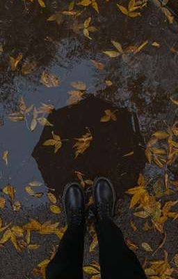 под дождем открываются сердца 