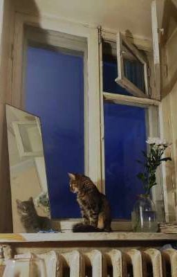 Музыкальное Сопровождение