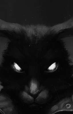 Война или Любовь?