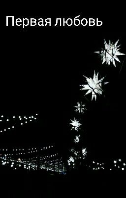 Первая любовь
