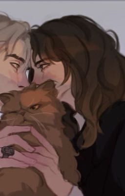 Любовь с первого взгляда...