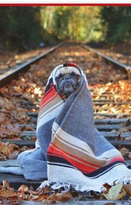 Перекрестки