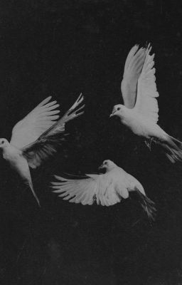 Магия Виктории