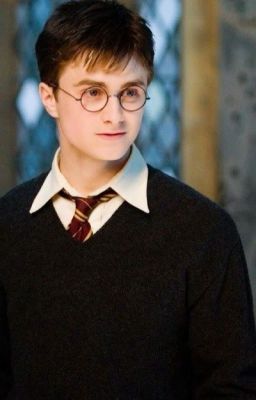 Harry Potter (Facts)