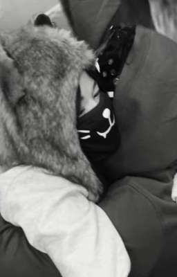 От врагов в отношениях {Лилео} 