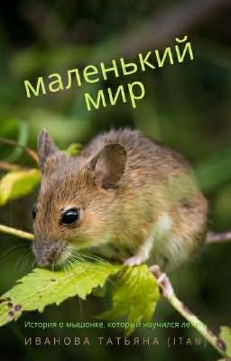 Маленький мир