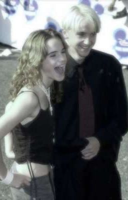 худший выбор принцессы