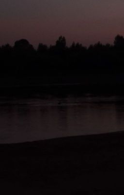 Из жизни бреду(я)щего музыканта