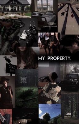 my property.