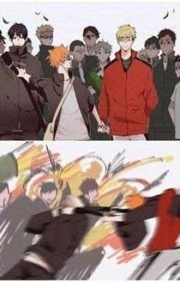 Хината и его соулмейты