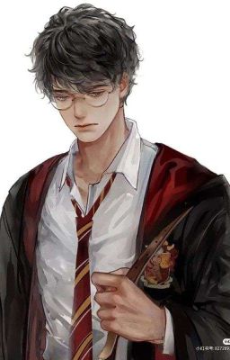 Гарри Поттер и Наследие Матери (ЗАМОРОЖЕН)