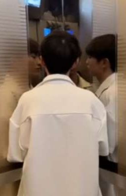 реакции Stray kids на male!Т/и. [Продолжается.]