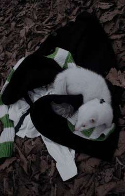 Неожиданное признание. 