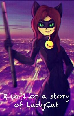 2 в 1 или история LadyCat