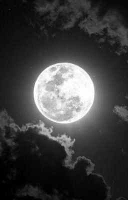 Жизнь И Смерть