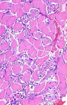 Прекрасная ночь