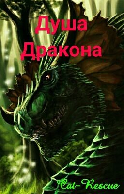 Душа Дракона