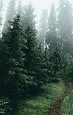 Последний Либертодорес(краткий Рассказ)