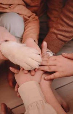 многодетная семья