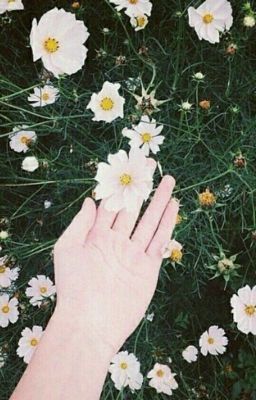 🌸🌸🌸🌸ЦИТАТЫ🌸🌸🌸🌸