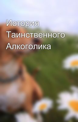 История Таинственного Алкоголика