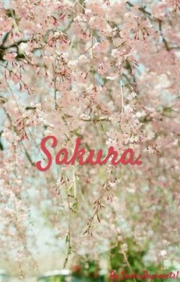 Сакура.