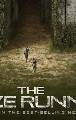 Новая жизнь