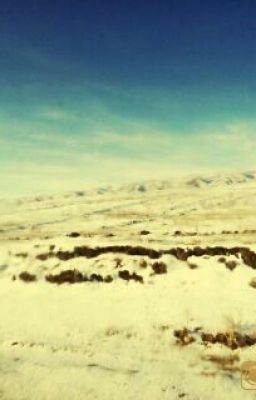 гарри поттер