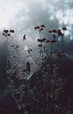 Кровавый след ведёт к тебе...