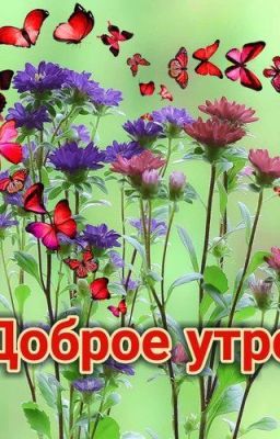 Кризисный центр